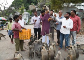 ಸಾರಿಗೆ ಸಚಿವ ಶ್ರೀರಾಮು(ಮ)ಲುವಿಗೆ ಭಕ್ತಿಯ ಪ್ರದರ್ಶನ…!