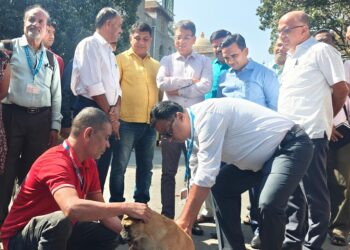 Target of compound vaccination of 1.84 lakh stray dogs under BBMP; Tushar Giri Nath