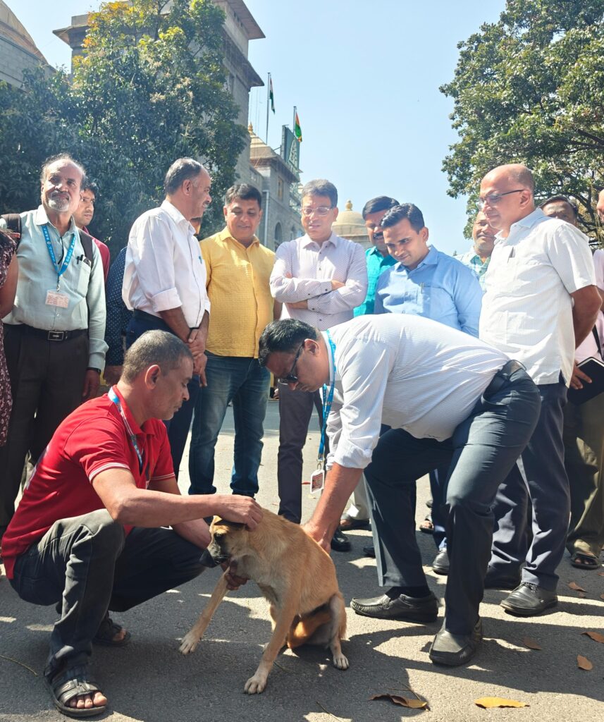 Target of compound vaccination of 1.84 lakh stray dogs under BBMP; Tushar Giri Nath