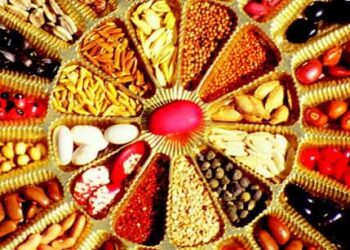 ಜೂನ್ 14ರಿಂದ ‘ದೇಸಿ ಬೀಜೋತ್ಸವ