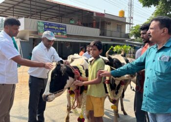 ಜಾನುವಾರು ಲಸಿಕಾ ಅಭಿಯಾನಕ್ಕೆ ಚಾಲನೆ ನೀಡಿದ ಶಾಸಕ ದರ್ಶನ್ ಪುಟ್ಟಣ್ಣಯ್ಯ