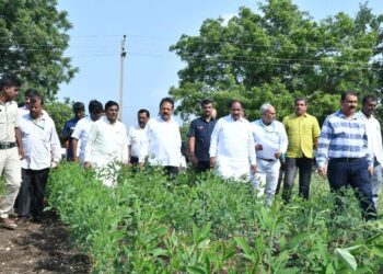 ಹಾವೇರಿ ಜಿಲ್ಲೆ ಸೇರಿದಂತೆ ರಾಜ್ಯಾದ್ಯಂತ ಮುಂಗಾರು ಬಿತ್ತನೆ ಬೀಜ ಸಮರ್ಪಕ ದಾಸ್ತಾನು: ಆತಂಕ ಬೇಡ ಎಂದ ಕೃಷಿ ಇಲಾಖೆ
