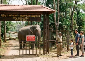 ದುಬಾರೆ ದುರಂತದ ಎಫೆಕ್ಟ್: ನಾಳೆಯಿಂದ ಸಕ್ರೆಬೈಲು ಆನೆ ಬಿಡಾರ ತಾತ್ಕಾಲಿಕ ಬಂದ್, ಪ್ರವಾಸಿಗರಿಗೆ ನಿರಾಸೆ!